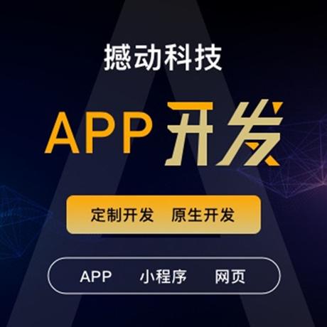 北京小程序外包 小程序开发外包服务 网站定制开发 -搜了网